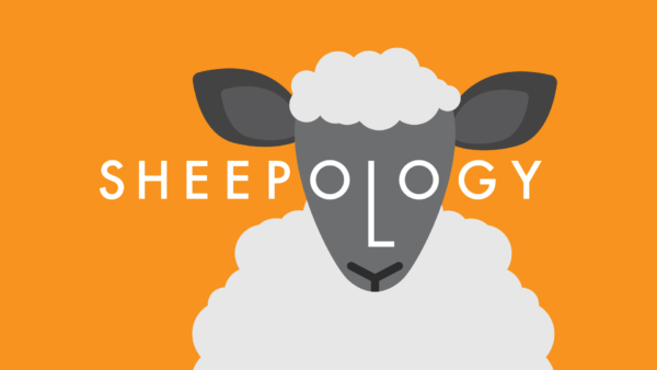 Sheepology: Jesus, The Pursuer of Our Souls Image