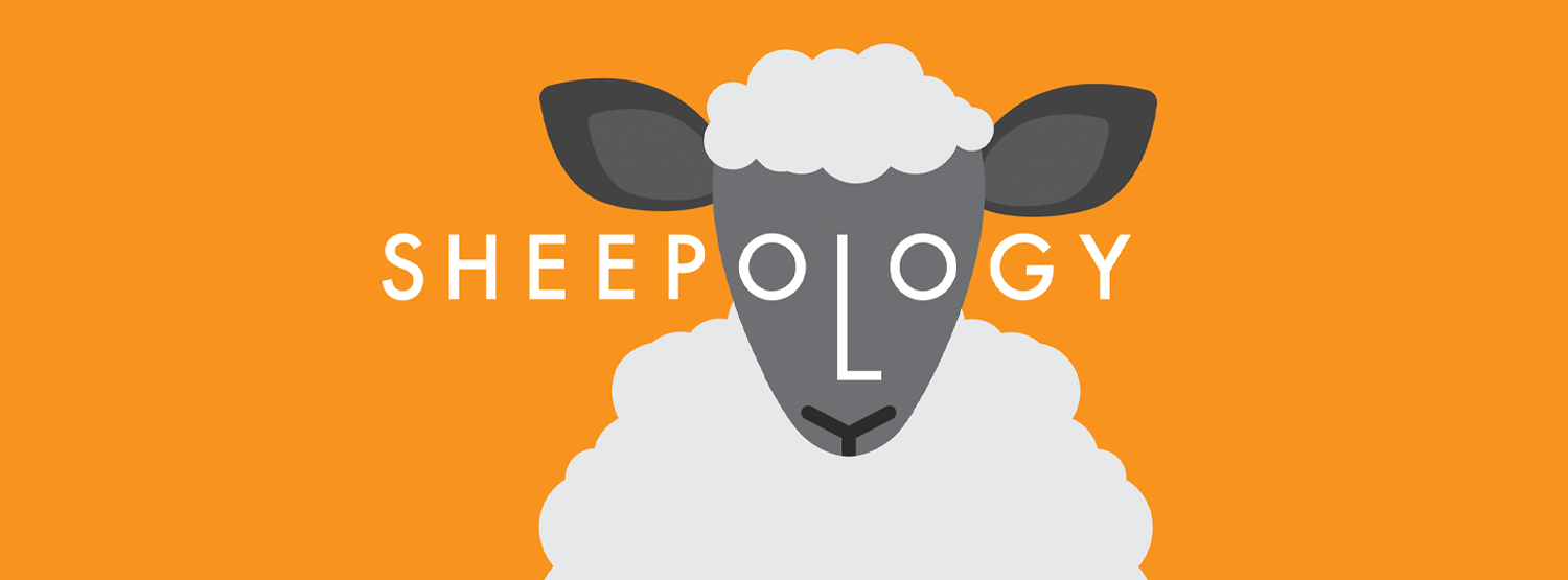 Sheepology